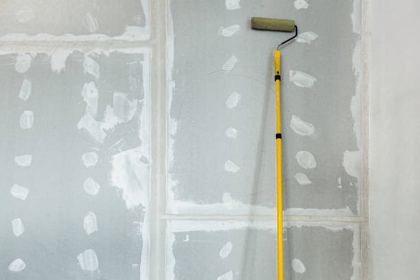 Best Forensic Mold Investigation  in Norcross, GA