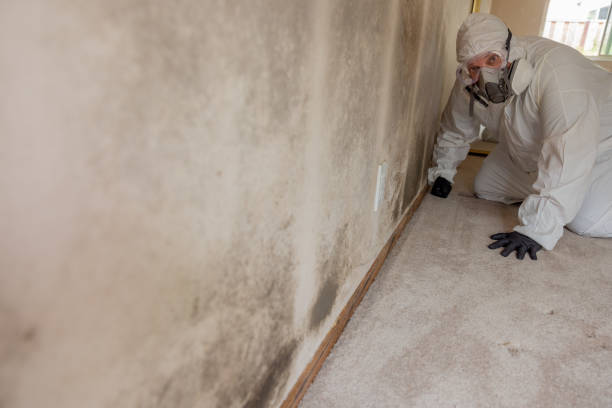 Best Mold Damage Restoration  in Norcross, GA