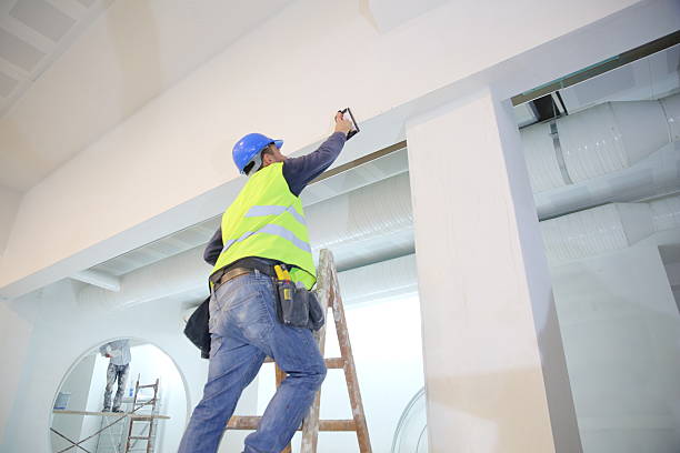 Best Attic Mold Removal  in Norcross, GA