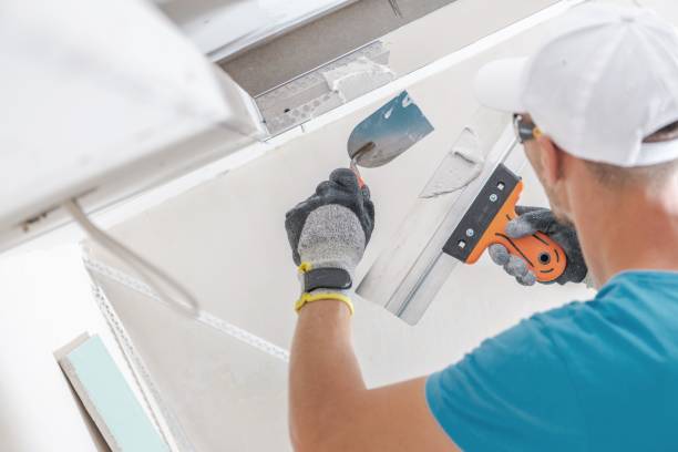 Best Asbestos and Lead Testing During Mold Inspection  in Norcross, GA